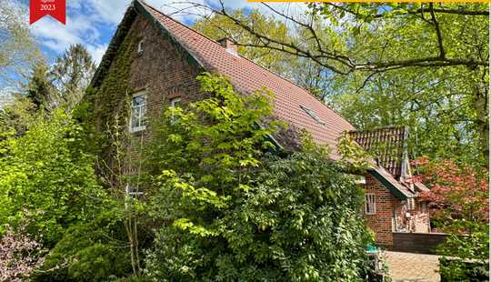 Bild von Außergewöhnliches Einfamilienhaus in sehr schöner Lage von Heisfelde