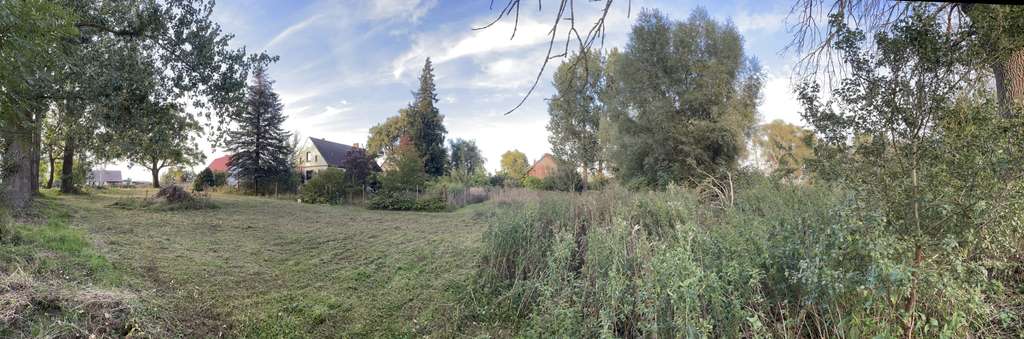 Immobilie in Brüssow - Ruhig gelegenes Einfamilienhaus mit großem Grundstück (ca. 6.000 m²) in der Uckermark  - Bild 1