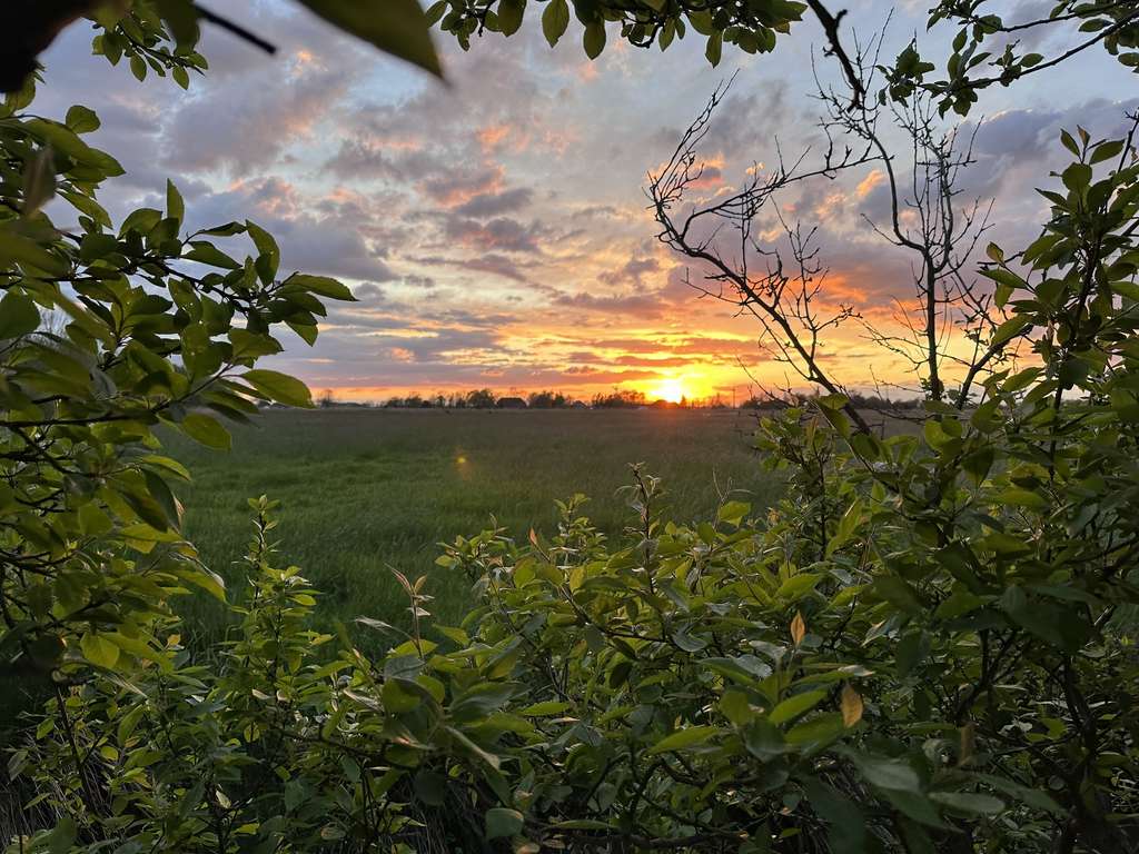 Immobilie in Geestland - Leben wo andere Urlaub machen! - Bild 0