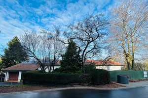 NEUER PREIS! Sanierungsbedürftiger Bungalow in begehrter Lage von Pirmasens – Pirmasens – Vorschaubild 2