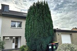 In fast allen Gewerken weiterentwickelte Doppelhaushälfte in  Hillegossen  – Die vollständige Adresse der Immobilie erhältst du vom Anbieter., 33699 Stieghorst, Bielefeld – Vorschaubild 5
