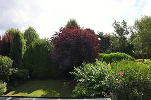 PROVISIONSFREI - TOP-LAGE - TOP-Zustand, BJ. 2003, 4 ZIMMER, TAGESLICHTBAD aus 2016, GARTEN, GARAGE! – Neuss (Rhein-Kreis) – Vorschaubild 7