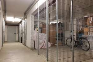 Penthouse | Renoviert | 2-Zimmer | Dachterrasse | Aufzug | TG-Platz – Die vollständige Adresse der Immobilie erhältst du vom Anbieter., 75172 Weststadt, Pforzheim – Vorschaubild 18
