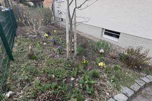 freistehendes Einfamilienhaus mit Garten in ruhiger Wohnlage – Die vollständige Adresse der Immobilie erhältst du vom Anbieter., 12623 Mahlsdorf, Berlin – Vorschaubild 25