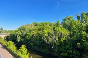 Property thumbnail 19