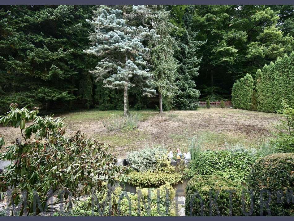 177-191070219_Blick ins GRÜNE