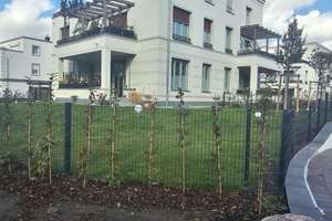Diese perfekte Zwei-Zimmerwohnung warten auf Sie + Balkon + Gartennutzung, in Potsdam – Die vollständige Adresse der Immobilie erhältst du vom Anbieter., 14469 Nauener Vorstadt, Potsdam – Vorschaubild 15