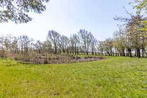 Luxuriöses Anwesen und Gartenparadies in Rodenäs an der Nordsee – Die vollständige Adresse der Immobilie erhältst du vom Anbieter., 25924 Rodenäs – Vorschaubild 25