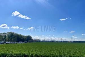 Property thumbnail 11