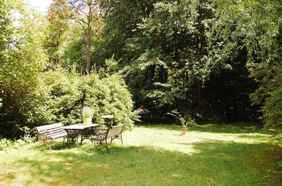 Wohnen am Göttinger Stadtwald. 2 Zimmer mit Pantryküche und Duschbad in ruhiger Lage.