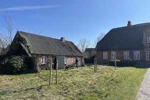 Schöner Geesthardenhof mit Backhaus,Gewächshaus und Gemüsegarten – Nordfriesland (Kreis) – Vorschaubild 3