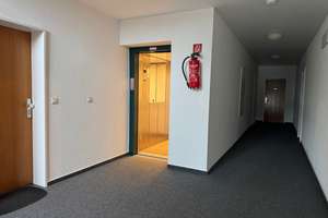 +++ Toplage +++ Helle 3-Zimmerwohnung direkt am Kaiserpark +++ – Die vollständige Adresse der Immobilie erhältst du vom Anbieter., 47800 Bockum, Krefeld – Vorschaubild 2