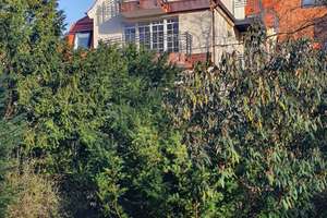 Traumlage am Park:   Exclusive 3,5-Zimmer-Jugendstil-Wohnung mit 123 qm – Friedenstr. 23, 89073 Mitte, Ulm – Vorschaubild 4