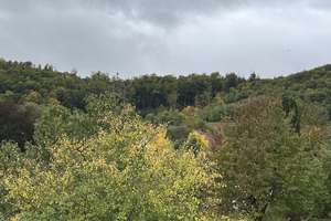 Charmant und mit Ausblick – Die vollständige Adresse der Immobilie erhältst du vom Anbieter., 31061 Alfeld (Leine) – Vorschaubild 7