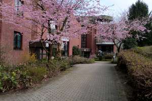 Nicht mehr bewerben!!/Bewerbung zwecklos -Modernes Penthouse im Grünen  – Die vollständige Adresse der Immobilie erhältst du vom Anbieter., 22453 Niendorf, Hamburg – Vorschaubild 13