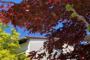 ❤️-lich Willkommen! Charmantes  Haus mit Wintergarten & Einliegerwohnung – 69126 Emmertsgrund, Heidelberg – Vorschaubild 34