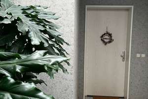 Property thumbnail 16