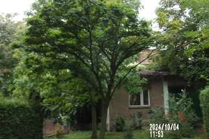 Zentrumsnahe  TOP - 2 ZKDBB - Komfort - SINGLE- Wohnung  EBK + Balkon + Garten  – Schlachthofstraße 8, 99085 Johannesvorstadt, Erfurt – Vorschaubild 25