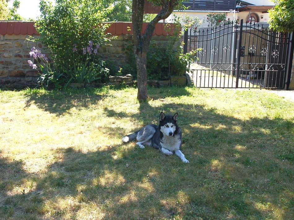 Hintere Ein-Ausfahrt