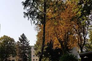 ETW - 62 m2, Berlin Spandau, saniert , Stellplatz, voll möbliert. – Grunewaldstraße 8, 13597 Spandau (Ortsteil), Berlin – Vorschaubild 6