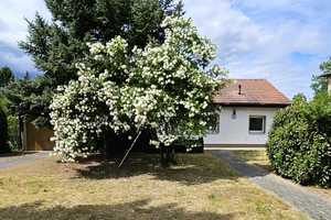 Hauptstadtmaker-Bezugsfreies Haus auf großem Grundstück – Märkisch-Oderland (Kreis) – Vorschaubild 5