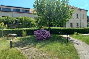 Property thumbnail 12