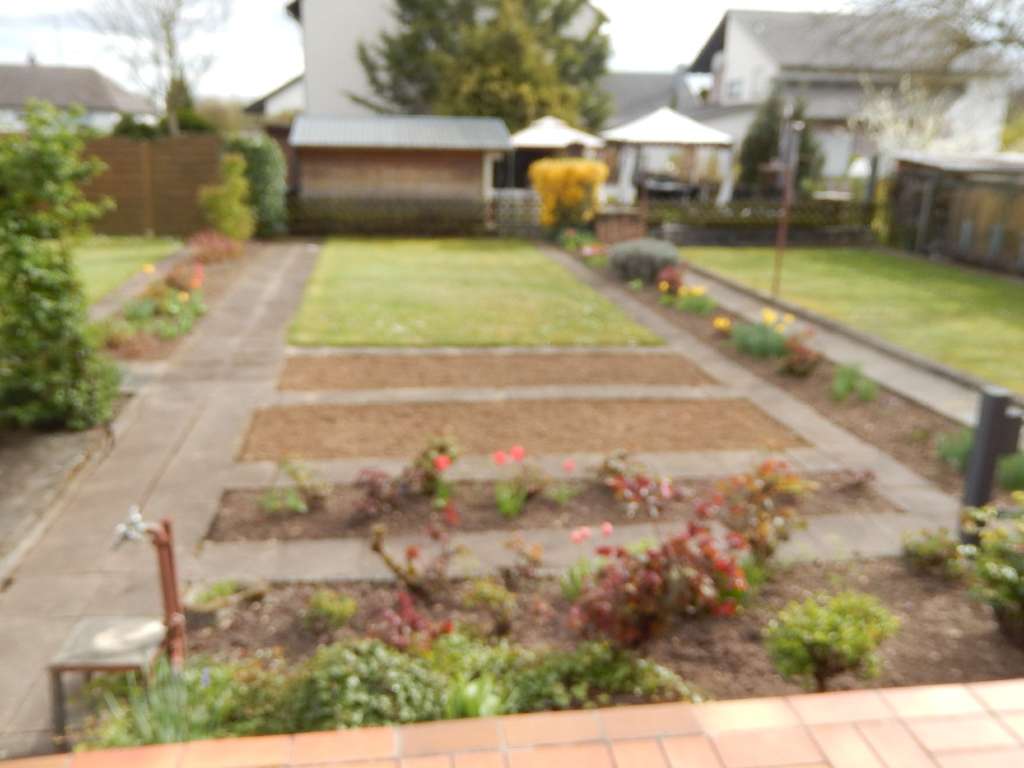 Immobilie in Rohrbach - Einfamilienhaus in ruhiger sonniger Ortslage - Bild 2