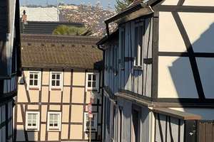 Charmantes Fachwerkhaus in Bonn-Muffendorf – kompakt & kein Standard – Die vollständige Adresse der Immobilie erhältst du vom Anbieter., 53177 Muffendorf, Bonn – Vorschaubild 19