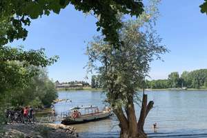 Property thumbnail 42