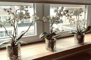 Apartment in Stuttgart-Mitte, Lage 1A, W-lan – Olgastrasse 69, 70182 Heusteigviertel, Stuttgart – Vorschaubild 20