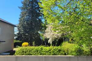 Sonnige, ruhige 4-Zimmer Gartenwohnung in Milbertshofen – Keferloherstr. 125, 80807 Milbertshofen, München – Vorschaubild 12