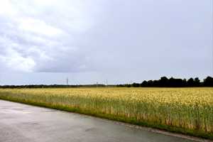 Am Rande von Spellen – Wesel (Kreis) – Vorschaubild 2