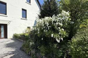 Zweifamilienhaus + Apartment – ideal auch für Tierhaltung – 33729 Heepen, Bielefeld – Vorschaubild 15