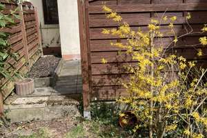 1,5-Zimmer Wohnung im EG mit neuem Bad und Terrasse  in Bremen-Blumenthal – Die vollständige Adresse der Immobilie erhältst du vom Anbieter., 28779 Blumenthal (Ortsteil), Bremen – Vorschaubild 14