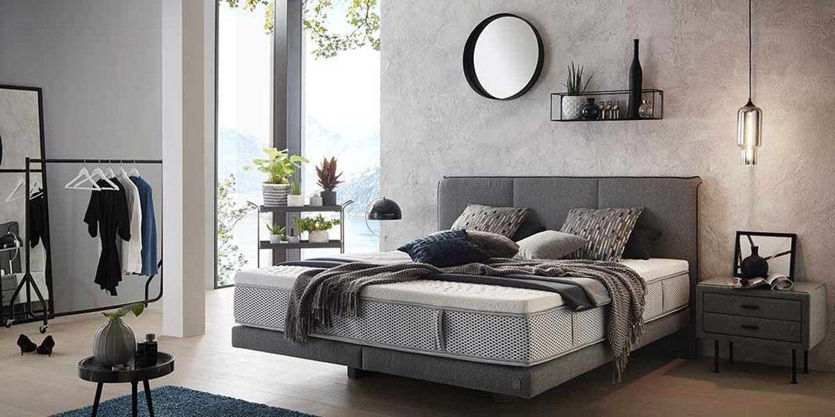 Immobilie in Torgelow - Kein Bock auf Zinshammer und Preiswucher? Nicht beim Marktführer!!! - Bild 3