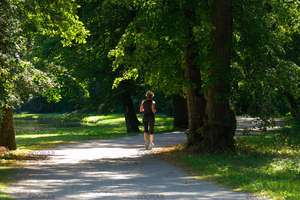 Property thumbnail 21