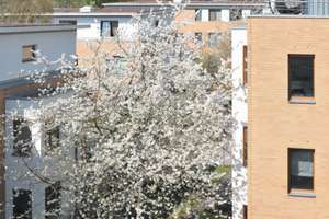 2-Zimmer-Wohnung mit Dachterrasse und neuer Einbauküche – Kasperstraße 37, 12542 Altglienicke, Berlin – Vorschaubild 12