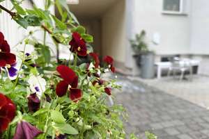 Groß, hell und viel Platz! Ein Familientraum in ruhiger Hoflage mit tollen Sichtbalken. Gleich hinte – Ludwig-Wucherer-Str. 62, 6108 Paulusviertel, Halle (Saale) – Vorschaubild 4