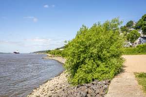 Zwischen Elbstrand und Treppenviertel – Die vollständige Adresse der Immobilie erhältst du vom Anbieter., 22587 Blankenese, Hamburg – Vorschaubild 2