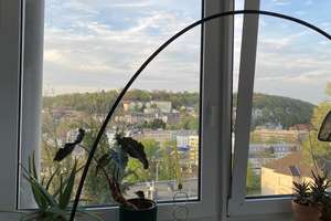 Nähe Hbf./City/Uni. Ruhige Lage. Schöne Wohnung. 2 Zi., DB, Wohnk.+EBK, Loggia, Abst., 62 qm – Kluser Höhe 27, 42119 Elberfeld, Wuppertal – Vorschaubild 9