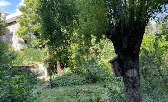 Ludwigshafen Süd / Nähe Mannheim Hbf, Altbau 4 Zi. Wohnung mit eigenem Garten, 2 Balkonen, Kamin