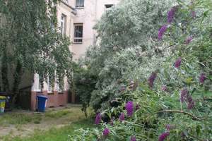 Property thumbnail 15