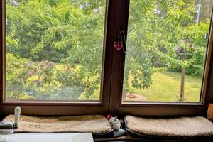 Schönes modernes Einfamilienhaus mit direktem Naturzugang – Die vollständige Adresse der Immobilie erhältst du vom Anbieter., 29468 Bergen an der Dumme – Vorschaubild 18