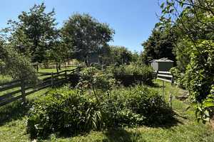 ***Doppelhaushälfte im Haus mit viel Platz, Kamin, Terrasse und großem Garten*** – Wetteraukreis – Vorschaubild 15