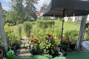 TOP modernisierte Seniorenwohnung mit Terrasse (NUR mit WBS) – Johannes-Ritter-Str. 61, 21502 Geesthacht – Vorschaubild 3