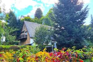*** TOP Preis!  Hübsches Einfamilienhaus in idyllischer Lage zu verkaufen *** – Talstraße 3, 8321 Zschorlau – Vorschaubild 3