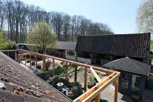 Pferderanch mit drei Wohneinheiten und 2Ha Weideland direkt am Reichswald. – Grafwegenerstraße 16, 47559 Kleve (Kreis) – Vorschaubild 35