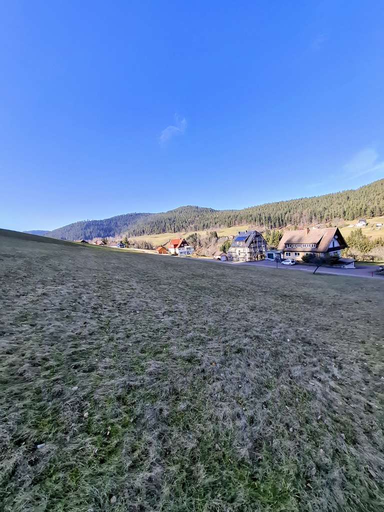 Immobilie in Baiersbronn - Ruhige und naturnahe Top Lage in Baiersbronn - Bild 2