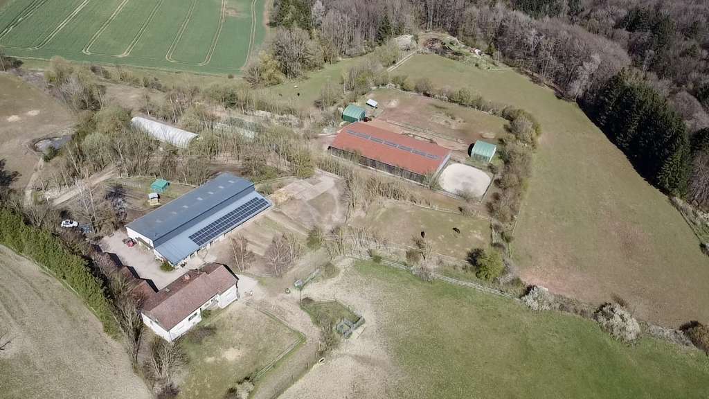 Immobilie in Battweiler - Sofort übernehmbarer Pensionspferdebetrieb mit 33 Einstellern & Wachstumspotenzial - Bild 0