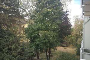 Charmante bezugsfreie 2-Zimmer-Wohnung mit Südwest-Balkon in ruhiger Lage von Freiburg-Zähringen – 79108 Zähringen, Freiburg im Breisgau – Vorschaubild 10